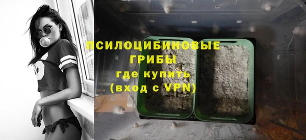 прущие грибы Володарск