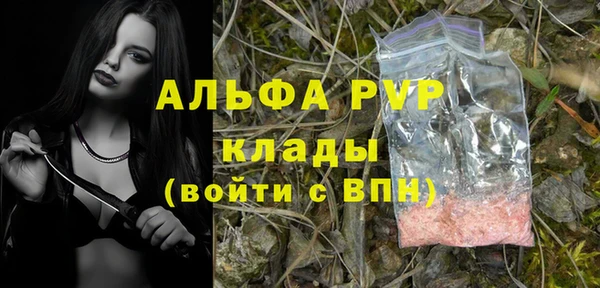прущие грибы Володарск