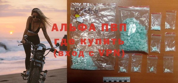 прущие грибы Володарск