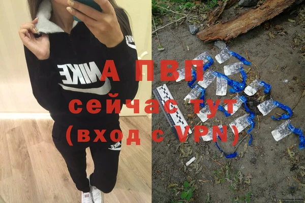 прущие грибы Володарск