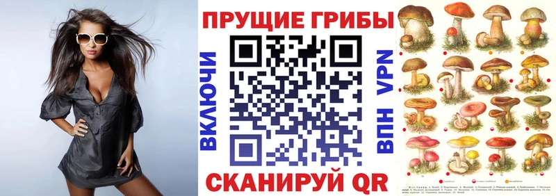 Псилоцибиновые грибы прущие грибы Железногорск