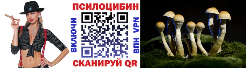 Галлюциногенные грибы MAGIC MUSHROOMS  Железногорск 