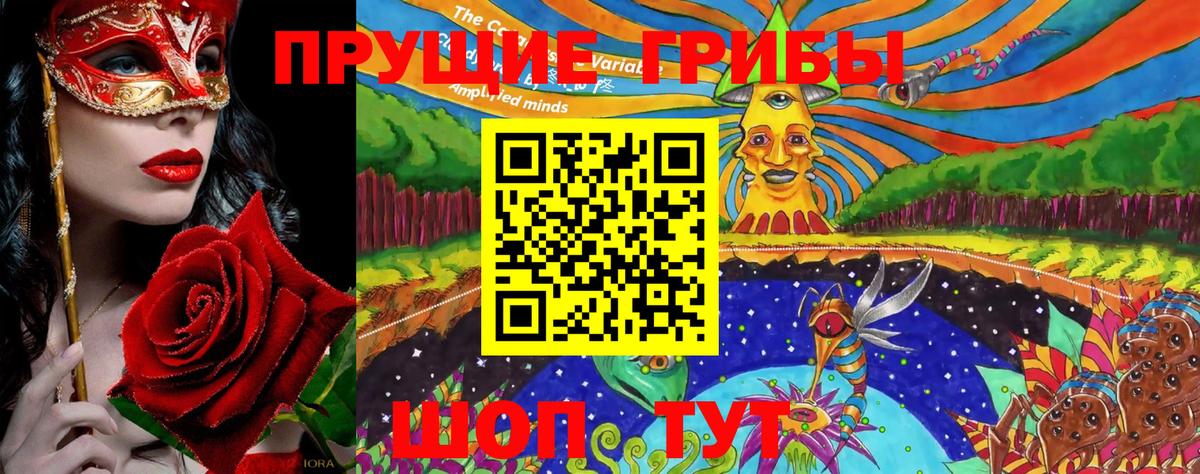 Железногорск  Псилоцибиновые грибы мухоморы  Псилоцибиновые грибы Cubensis  Вход с VPN 